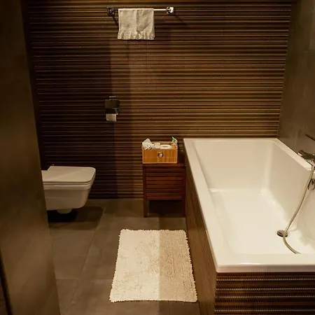 Panoramiczny Апартаменты Поляница-Здруй